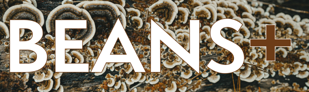 Beans Plus Logo1