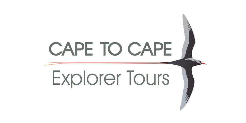 Cape to Cape Explorer Tours (4) (2)